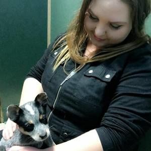 Meet your Posher, Raven